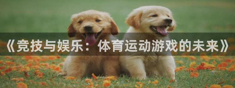 3377体育官方集团官网:《竞技与娱乐:体育运动游戏的未来》