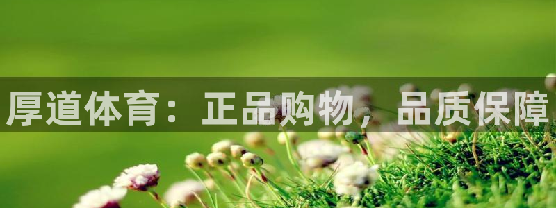 3377体育官方正版app代理:厚道体育:正品购物,品质保障