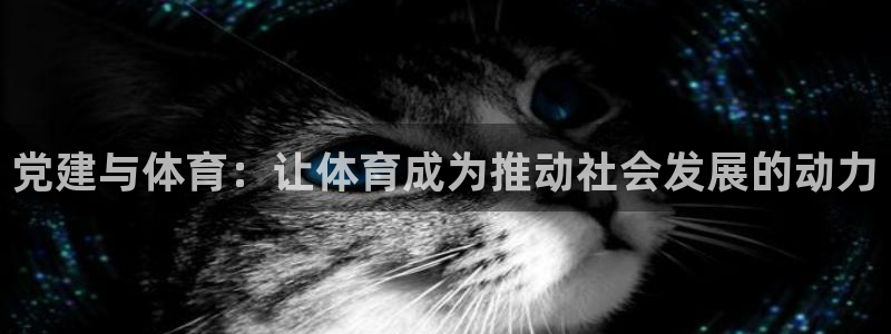 3377体育官方正版app集团简介:党建与体育:让体育成为推